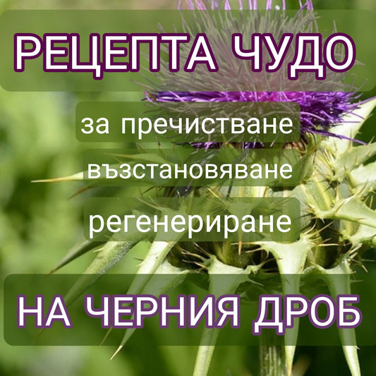 чай за черен дроб, билки за пречистване на черния дроб, билки за цироза, изпитани рецепти за черен дроб, доказано лечение на черен дроб, билколечение черен дроб, чудодейни рецепти за черен дроб, чернодробна детоксикация,
естествен лек за черен дроб
бял трън глухарче чай
прочистване на организма с билки